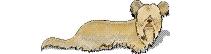 Flatdog
